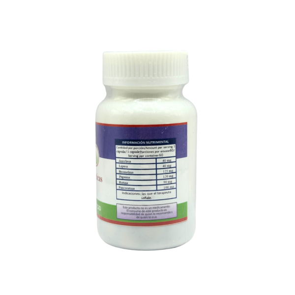 Enzimas Proteolítiticas Órgano Ortomolecular BacMedical 2 Enzimas Proteolítiticas Órgano Ortomolecular BacMedical 2